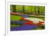 Spring Flowers in Holland Garden-neirfy-Framed Photographic Print