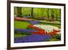 Spring Flowers in Holland Garden-neirfy-Framed Photographic Print