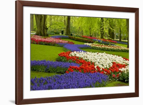 Spring Flowers in Holland Garden-neirfy-Framed Photographic Print