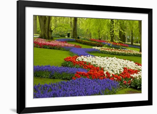 Spring Flowers in Holland Garden-neirfy-Framed Photographic Print