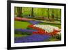 Spring Flowers in Holland Garden-neirfy-Framed Photographic Print