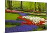 Spring Flowers in Holland Garden-neirfy-Mounted Photographic Print