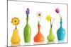 Spring Flowers In Vases Isolated On White-Acik-Mounted Art Print