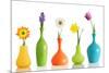 Spring Flowers In Vases Isolated On White-Acik-Mounted Art Print