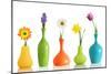 Spring Flowers In Vases Isolated On White-Acik-Mounted Premium Giclee Print