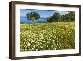 Spring Flowers in Zingaro Nature Reserve Near Scopello on This North West Coast-Rob Francis-Framed Photographic Print