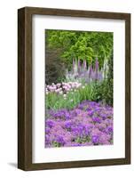 Spring Flowers, Kennett Square, Pennsylvania, Usa-Lisa S. Engelbrecht-Framed Photographic Print