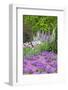 Spring Flowers, Kennett Square, Pennsylvania, Usa-Lisa S. Engelbrecht-Framed Photographic Print