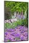 Spring Flowers, Kennett Square, Pennsylvania, Usa-Lisa S. Engelbrecht-Mounted Photographic Print