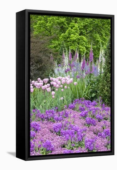 Spring Flowers, Kennett Square, Pennsylvania, Usa-Lisa S. Engelbrecht-Framed Stretched Canvas