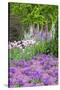 Spring Flowers, Kennett Square, Pennsylvania, Usa-Lisa S. Engelbrecht-Stretched Canvas