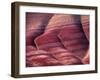 Spring Flowers Line the Gullies, John Day Fossil Beds National Monument, Painted Hills, Oregon, USA-Charles Sleicher-Framed Photographic Print