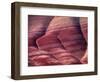 Spring Flowers Line the Gullies, John Day Fossil Beds National Monument, Painted Hills, Oregon, USA-Charles Sleicher-Framed Photographic Print