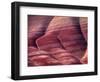 Spring Flowers Line the Gullies, John Day Fossil Beds National Monument, Painted Hills, Oregon, USA-Charles Sleicher-Framed Photographic Print