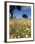 Spring Flowers, Majorca, Balearic Islands, Spain, Europe-John Miller-Framed Photographic Print