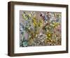 Spring Flowers (Oil on Canvas)-Richard Foster-Framed Giclee Print