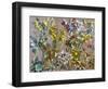 Spring Flowers (Oil on Canvas)-Richard Foster-Framed Giclee Print