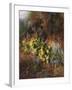 Spring Flowers on a Mossy Bank-Charles Archer-Framed Giclee Print