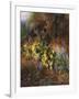 Spring Flowers on a Mossy Bank-Charles Archer-Framed Giclee Print