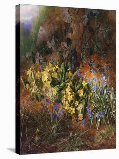 Spring Flowers on a Mossy Bank-Charles Archer-Stretched Canvas