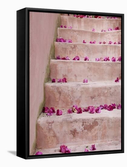 Spring Flowers on Staircase, Hania, Hania Province, Crete, Greece-Walter Bibikow-Framed Stretched Canvas