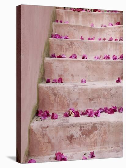 Spring Flowers on Staircase, Hania, Hania Province, Crete, Greece-Walter Bibikow-Stretched Canvas