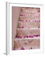 Spring Flowers on Staircase, Hania, Hania Province, Crete, Greece-Walter Bibikow-Framed Photographic Print