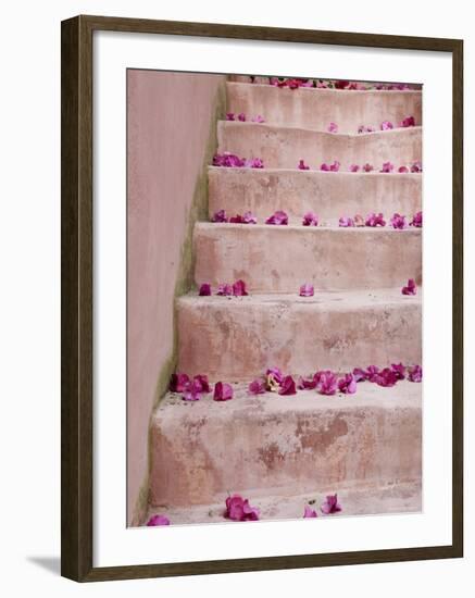 Spring Flowers on Staircase, Hania, Hania Province, Crete, Greece-Walter Bibikow-Framed Photographic Print