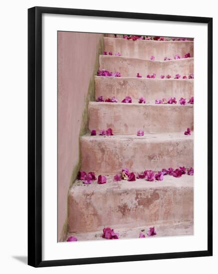 Spring Flowers on Staircase, Hania, Hania Province, Crete, Greece-Walter Bibikow-Framed Photographic Print