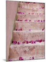 Spring Flowers on Staircase, Hania, Hania Province, Crete, Greece-Walter Bibikow-Mounted Photographic Print