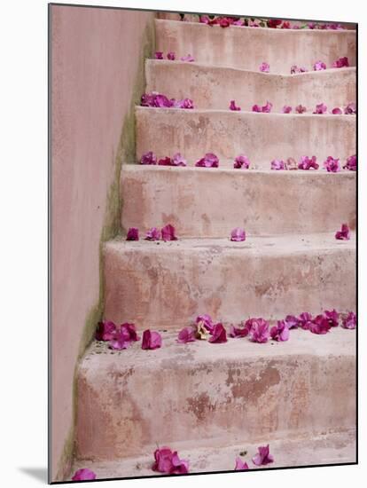 Spring Flowers on Staircase, Hania, Hania Province, Crete, Greece-Walter Bibikow-Mounted Photographic Print