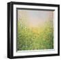 Spring Flowers-Sandy Dooley-Framed Giclee Print