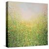 Spring Flowers-Sandy Dooley-Stretched Canvas