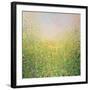 Spring Flowers-Sandy Dooley-Framed Art Print