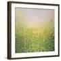 Spring Flowers-Sandy Dooley-Framed Art Print