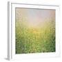 Spring Flowers-Sandy Dooley-Framed Art Print