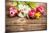 Spring Flowers-grafvision-Mounted Photographic Print