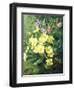 Spring Flowers-Annie Feray Mutrie-Framed Premium Giclee Print