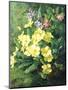 Spring Flowers-Annie Feray Mutrie-Mounted Premium Giclee Print