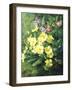 Spring Flowers-Annie Feray Mutrie-Framed Giclee Print