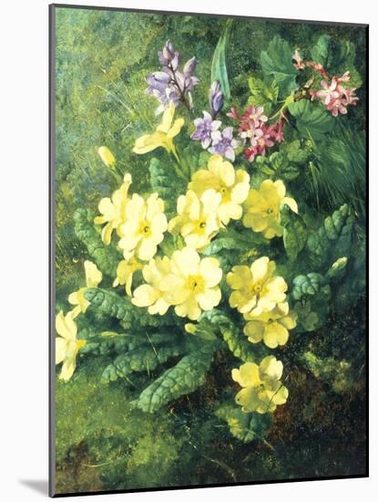 Spring Flowers-Annie Feray Mutrie-Mounted Giclee Print