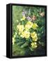 Spring Flowers-Annie Feray Mutrie-Framed Stretched Canvas