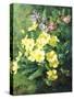 Spring Flowers-Annie Feray Mutrie-Stretched Canvas