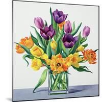 Spring Flowers-Christopher Ryland-Mounted Giclee Print