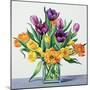 Spring Flowers-Christopher Ryland-Mounted Giclee Print