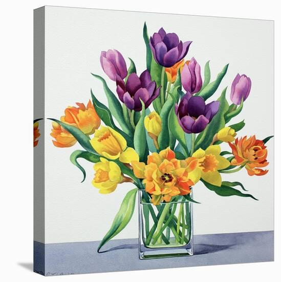 Spring Flowers-Christopher Ryland-Stretched Canvas