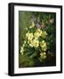 Spring Flowers-Annie Feray Mutrie-Framed Giclee Print