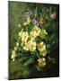 Spring Flowers-Annie Feray Mutrie-Mounted Giclee Print