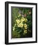 Spring Flowers-Annie Feray Mutrie-Framed Giclee Print