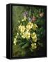 Spring Flowers-Annie Feray Mutrie-Framed Stretched Canvas
